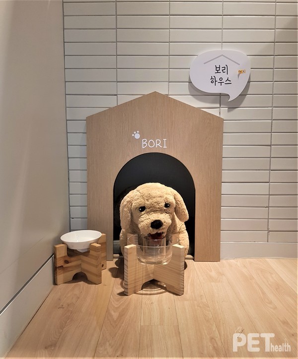 조리대 하단에 꾸며진 튼튼한 보리집. ⓒ펫헬스