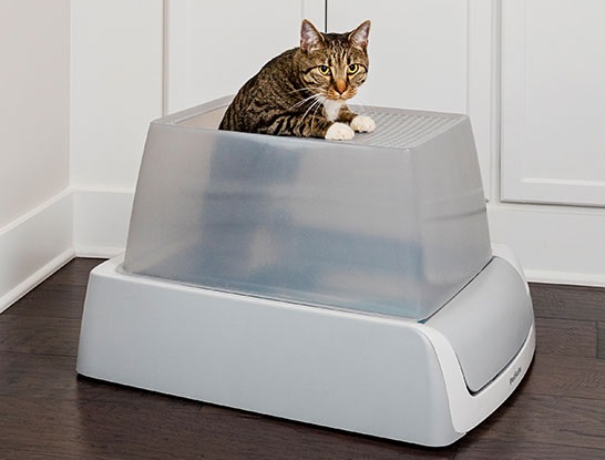 스쿱프리 셀프클리닝 모래상자