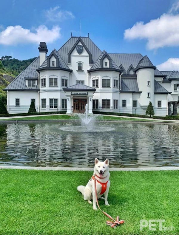 유럽풍 건축물과 자연이 어우러진 프라이빗 플레이그라운드. 사진 소노펫