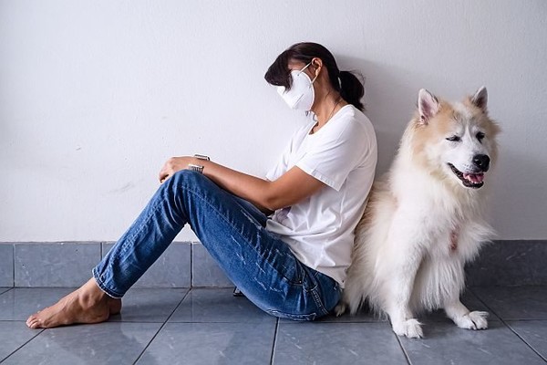 사진 펫푸드인더스트리