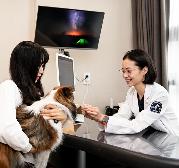 사진 소노펫 동물병원 진료 장면