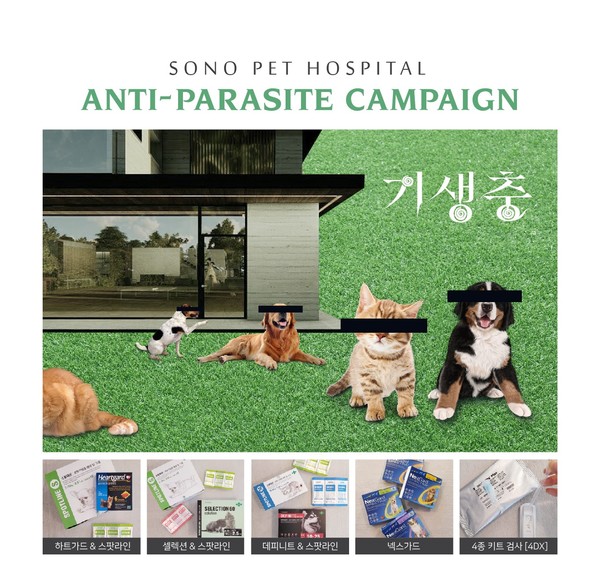 사진 소노펫 동물병원 기생충 예방 프로모션