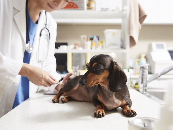사진 농림축산식품부