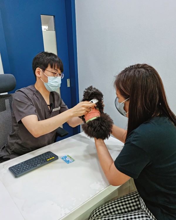 이로동물의료센터 노동훈 원장(왼쪽)이 유혜영 씨 반려견 보리의 목 근처에 리더기를 갖다 대며 내장형 동물등록이 잘됐는지 확인하고 있다. 사진 문화체육관광부