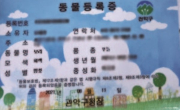유혜영 씨의 반려견 보리가 받은 동물등록증. 사진 문화체육관광부