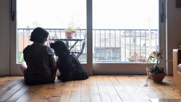 사진 스페인 국영방송 RTVE