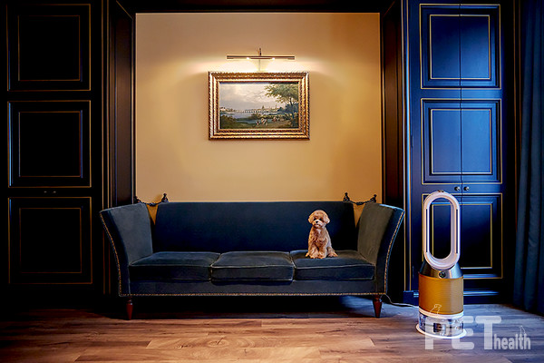 사진 조선호텔앤리조트