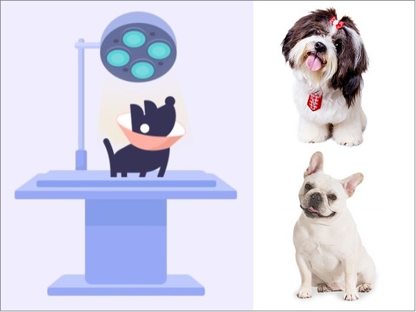 사진 메리츠화재