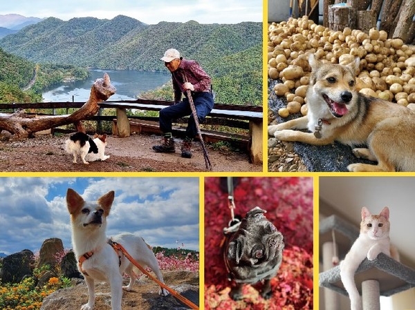 사진 강원디자인진흥원