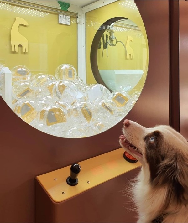 사진 소노펫클럽앤리조트