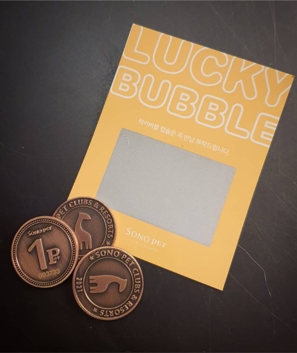 사진 소노펫클럽앤리조트