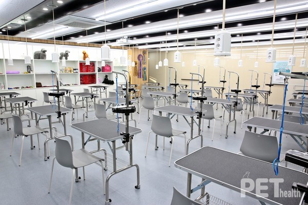 반려동물 미용 실습실. 사진 영진전문대학교