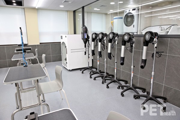 반려동물 미용 실습실. 사진 영진전문대학교