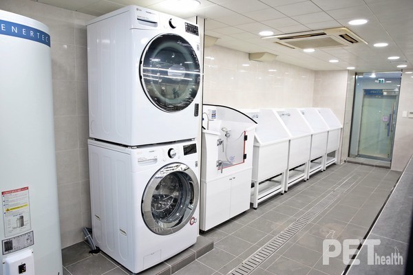 반려동물 미용 실습실. 사진 영진전문대학교