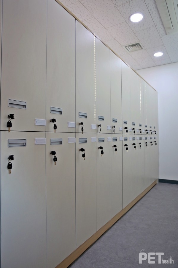 반려동물 미용 실습실. 사진 영진전문대학교