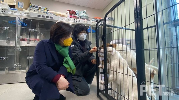 심상정 정의당 대통령후보는 9일 경기 파주에 있는 카라 더봄센터를 찾았다. 사진 심상정후보블로그