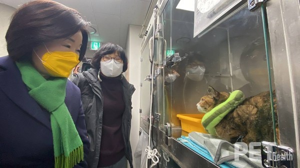 심상정 정의당 대통령후보는 9일 경기 파주에 있는 카라 더봄센터를 찾았다. 사진 심상정후보블로그