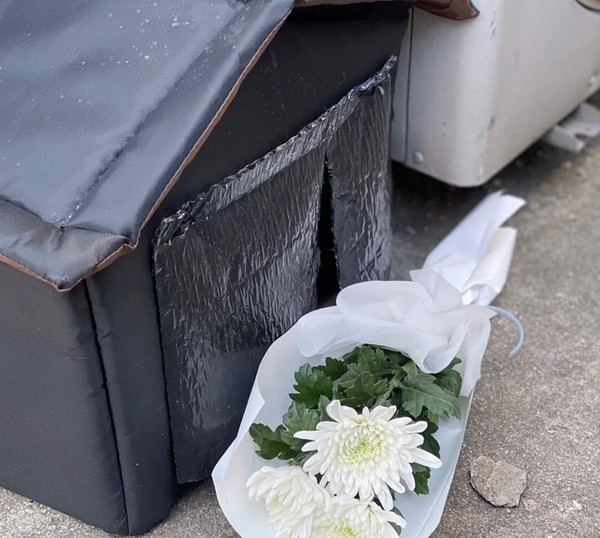 고양이 ‘두부’가 살던 집 앞에 놓인 국화꽃. 사진 동물권행동 카라