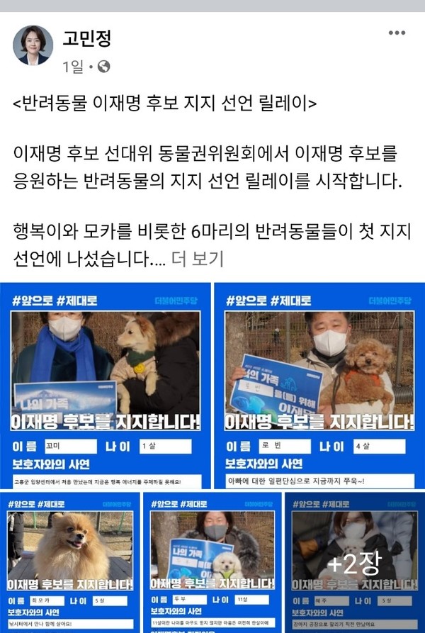 고민정 더불어민주당 의원이 1일 자신의 페이스북에 ‘반려동물 지지 선언 릴레이’ 글을 올렸다. 사진 고민정의원 페이스북 캡처