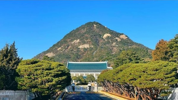 사진 청와대
