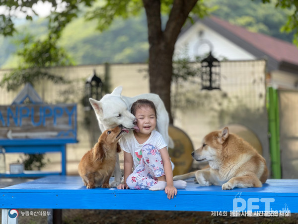 동물사랑 사진 공모전 제14회 대상(우리집 막내 예은). 사진 경북도
