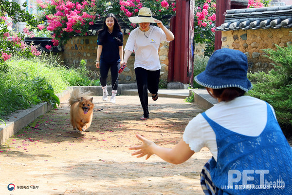 동물사랑 사진 공모전 제14회 우수상(앗!! 엄마다!). 사진 경북도