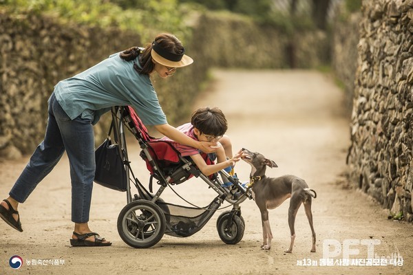 동물사랑 사진 공모전 제13회 대상. 사진 경북도