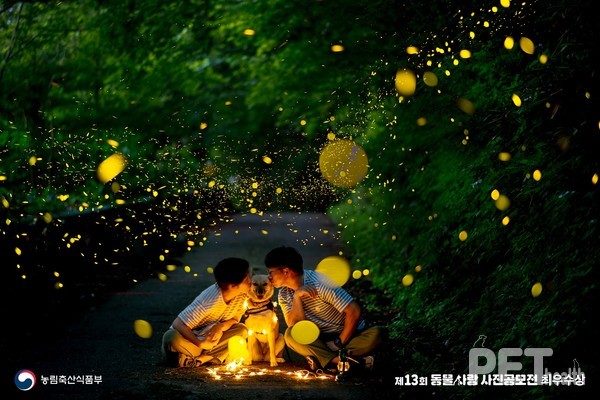 동물사랑 사진 공모전 제13회 최우수상. 사진 경북도