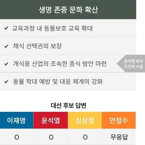사진 동물자유연대