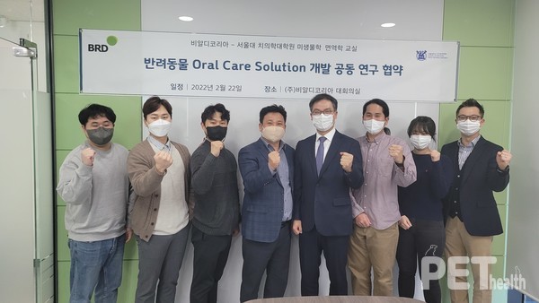 사진 비알디코리아