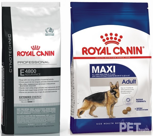 로얄캐닌의 사역견 영양 맞춤 사료 ‘사이노 엔듀어런스’(사진 왼쪽)와 ‘맥시 어덜트’. 사진 로얄캐닌코리아