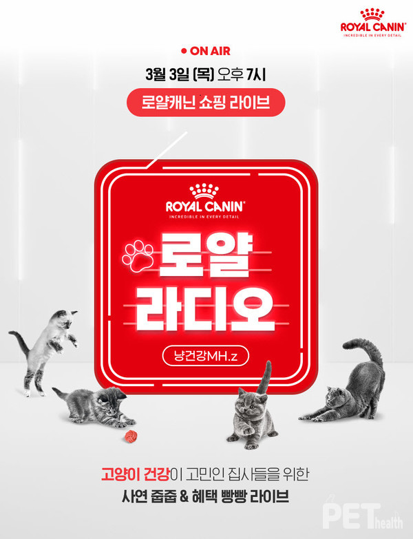로얄캐닌코리아가 3월 3일 네이버 쇼핑 라이브 ‘반려묘 건강케어사료 특별전’을 진행한다. 사진 로얄캐닌코리아