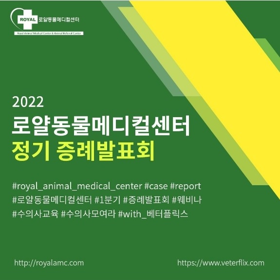 베터플릭스 인스타그램 캡처. ⓒ펫헬스