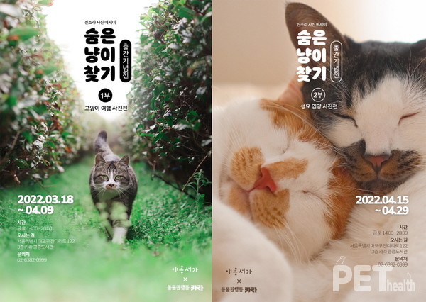 전시회 포스터. 사진 동물권행동카라