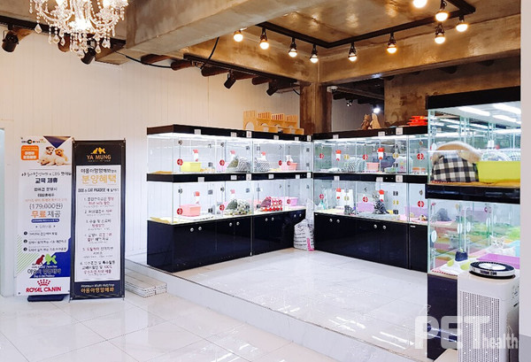 야옹아멍멍해봐는 분양·미용·호텔·용품 등 반려동물 관련 토탈샵이라는 점에서 타 프랜차이즈와 차별화된다. 특히 생명을 다루는 ‘분양’의 경우 오랜 경험에서 쌓여진 전문적 관리 시스템과 노하우는 독보적이다. 사진은 깔끔한 모습의 야옹아멍멍해봐의 한 분양매장 모습. ⓒ펫헬스