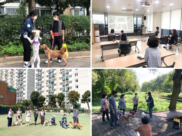 지난해 강남세움복지관에서 수서동 반려견문화개선모임이 ‘세움에 나쁜 개는 없다’를 진행하고 있다. 사진 강남구