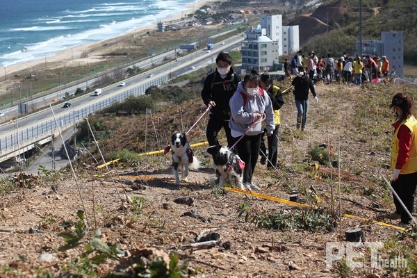 사진 한국유기동물보호협회