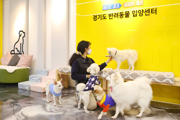 반려동물 입양센터는 접근성이 좋은 도심지에 유기견 입양·교육 장소를 마련해 도민 편의 증대를 목적으로 설립된 공간이다. ⓒ 경기뉴스광장 허선량
