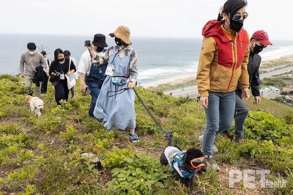 산타독 캠페인에 참가한 반려견과 반려인들이 더덕과 꽃양귀비 씨앗을 뿌리고 있다. 사진 한국유기동물보호협회