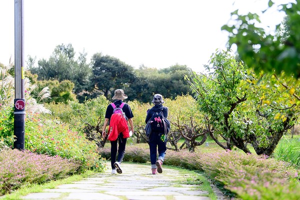 하영올레 코스. 사진 제주도