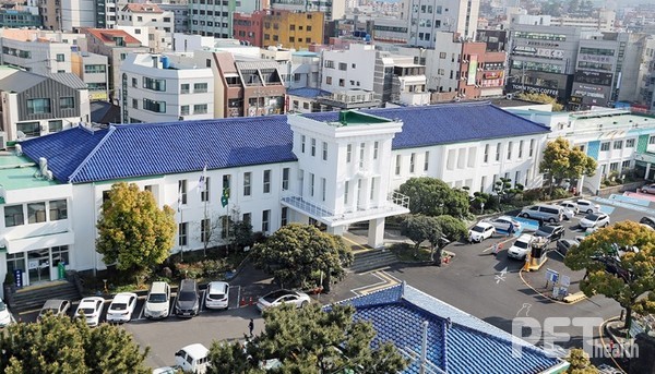 사진 제주시청