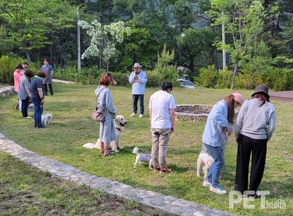 이웅종 교수가 ‘바른산책-펫교실 캠프’에 참가한 반려인·반려견들과 ‘올바른 산책’ 실습을 진행하고 있다. ⓒ펫헬스