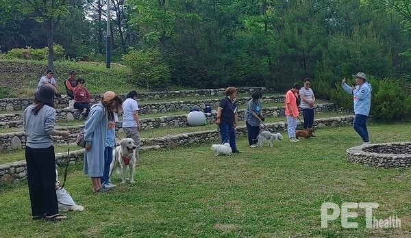 이웅종 교수가 ‘바른산책-펫교실 캠프’에 참가한 반려인·반려견들과 ‘올바른 산책’ 실습을 진행하고 있다. ⓒ펫헬스