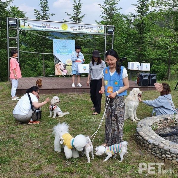 반려견 축제 전문MC 펑키(고영두)가 진행한 레크레이션에서 ‘바른산책-펫교실 캠프’ 참가자들이 라이프위드도그가 제공한 상품을 놓고 게임을 진행하는 등 즐거운 시간을 가졌다. ⓒ펫헬스