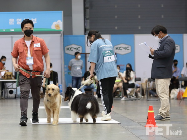 KCMC 시험 모습. ⓒ펫헬스