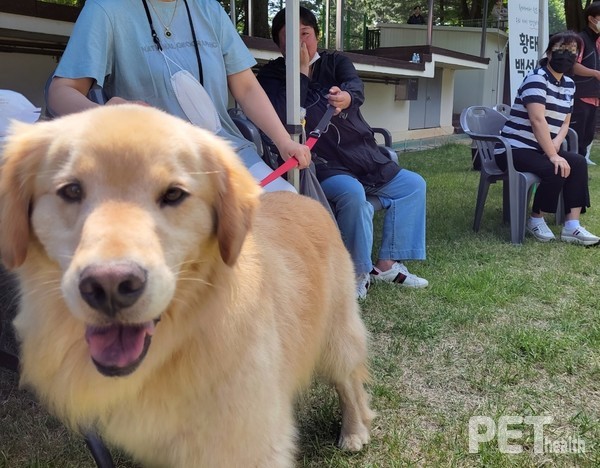 ⓒ펫헬스