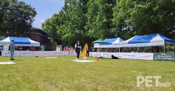 ⓒ펫헬스