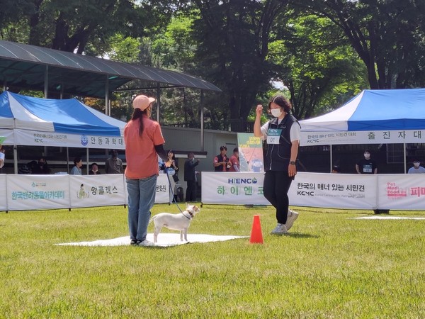 ‘낯선 사람과 함께 있을 때의 반응’ 수행중인 참가자. ⓒ펫헬스
