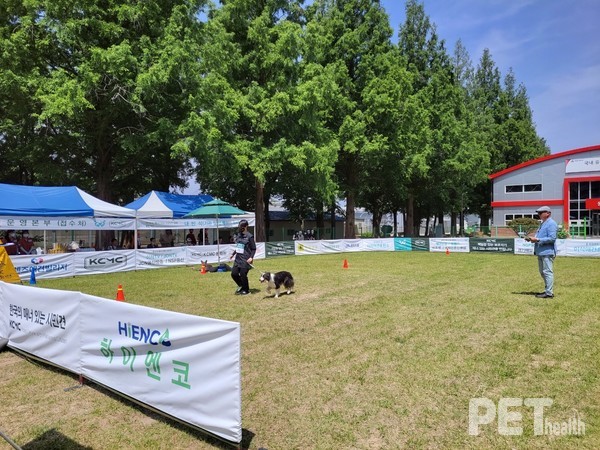 ⓒ펫헬스
