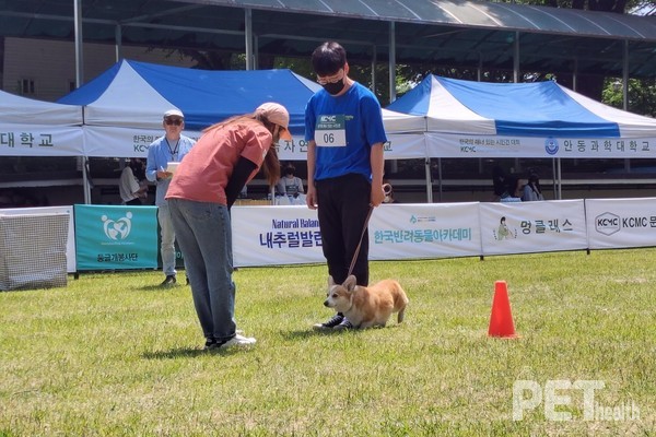 ‘낯선 사람과 대화하기’ 수행중인 참가자. ⓒ펫헬스